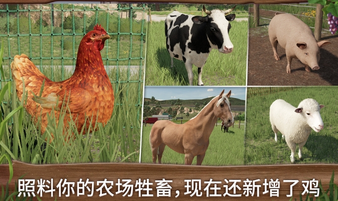 微信截图_20240627161917.png