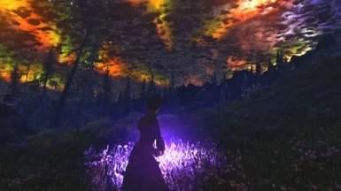 20240725112032521 (1).jpg